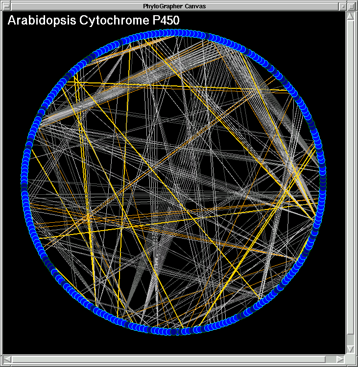 http://atgc.org/PhyloGrapher/Ath_cyt_P450_Graph_A.gif