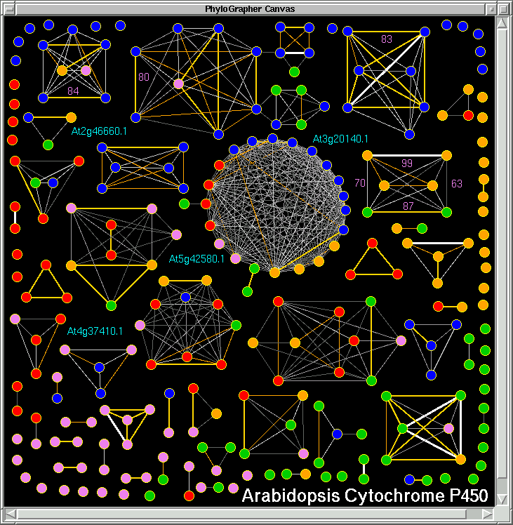 http://atgc.org/PhyloGrapher/Ath_cyt_P450_Graph_B.gif